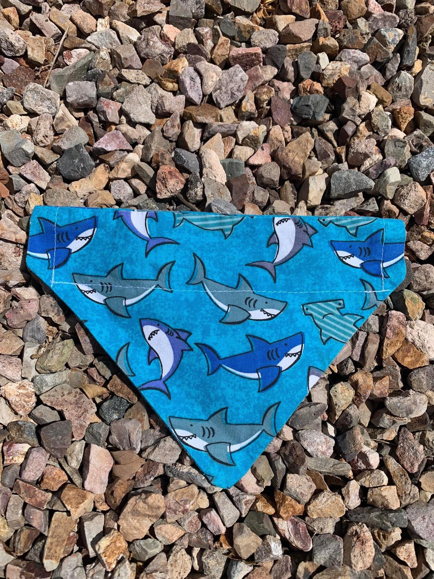 Happy Sharks Pet Bandana