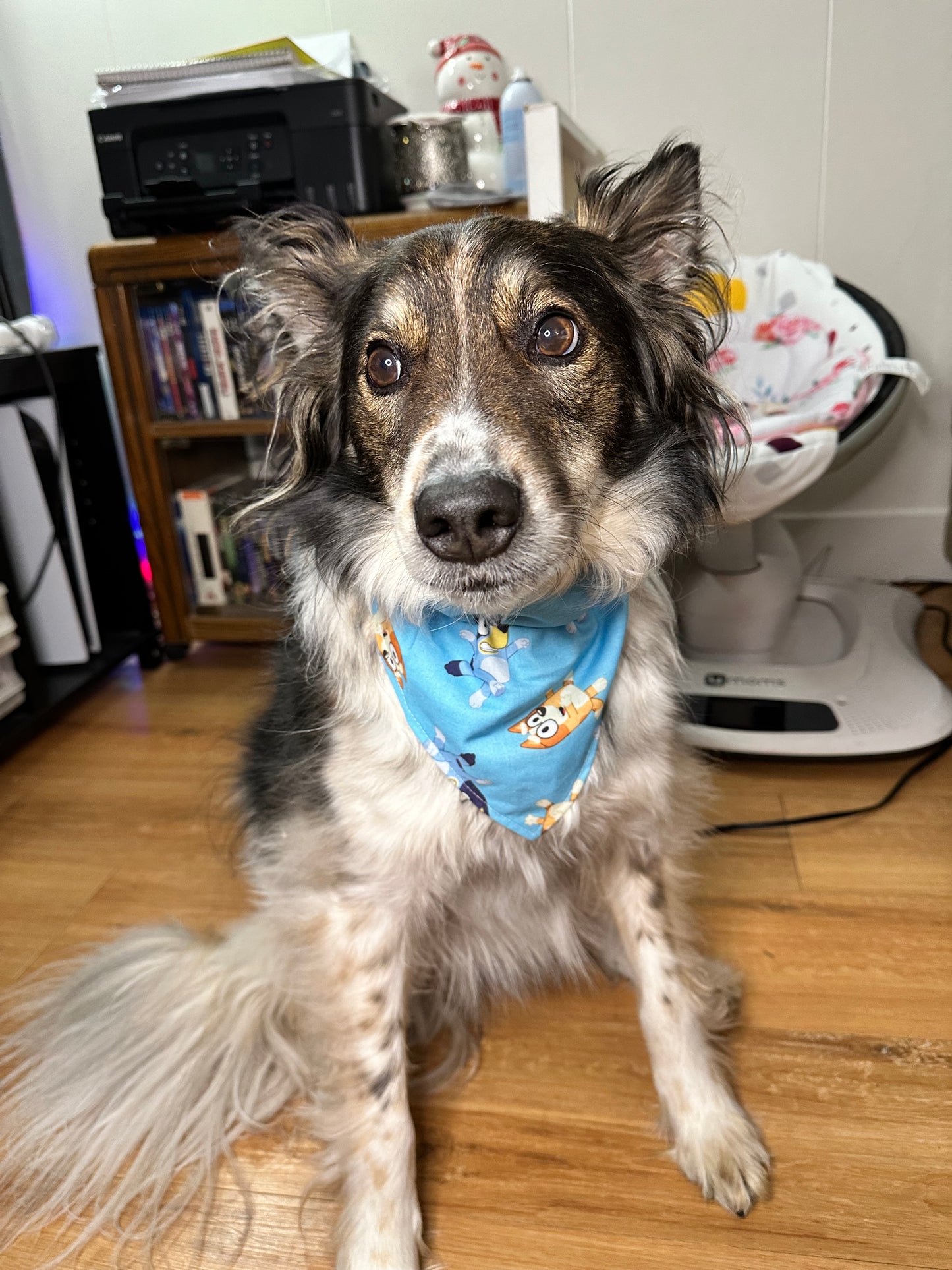 Blue Heeler Dog Bandana