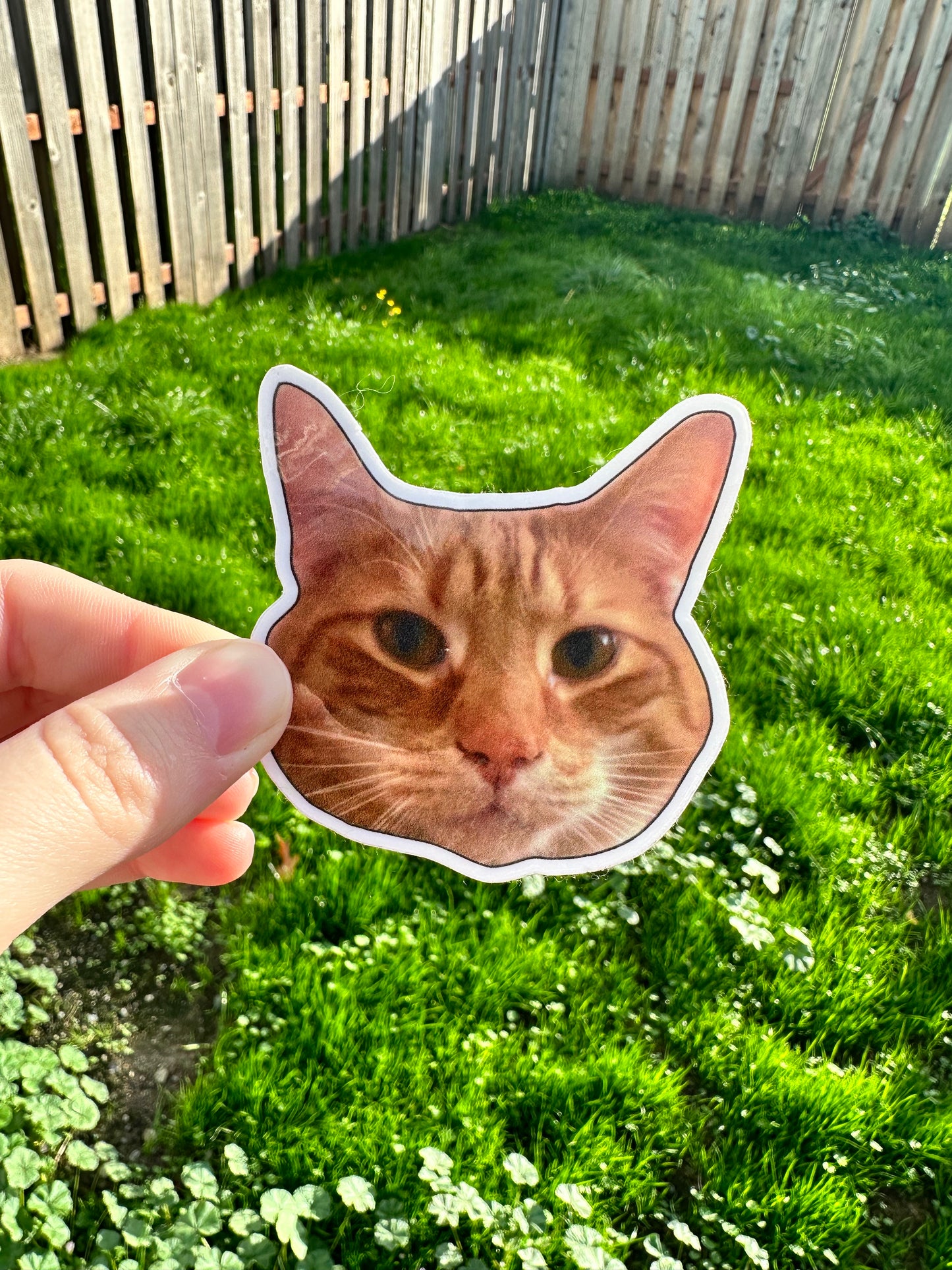 Custom Pet Sticker
